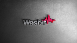 WASBIR (10)