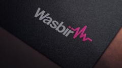 WASBIR (12)